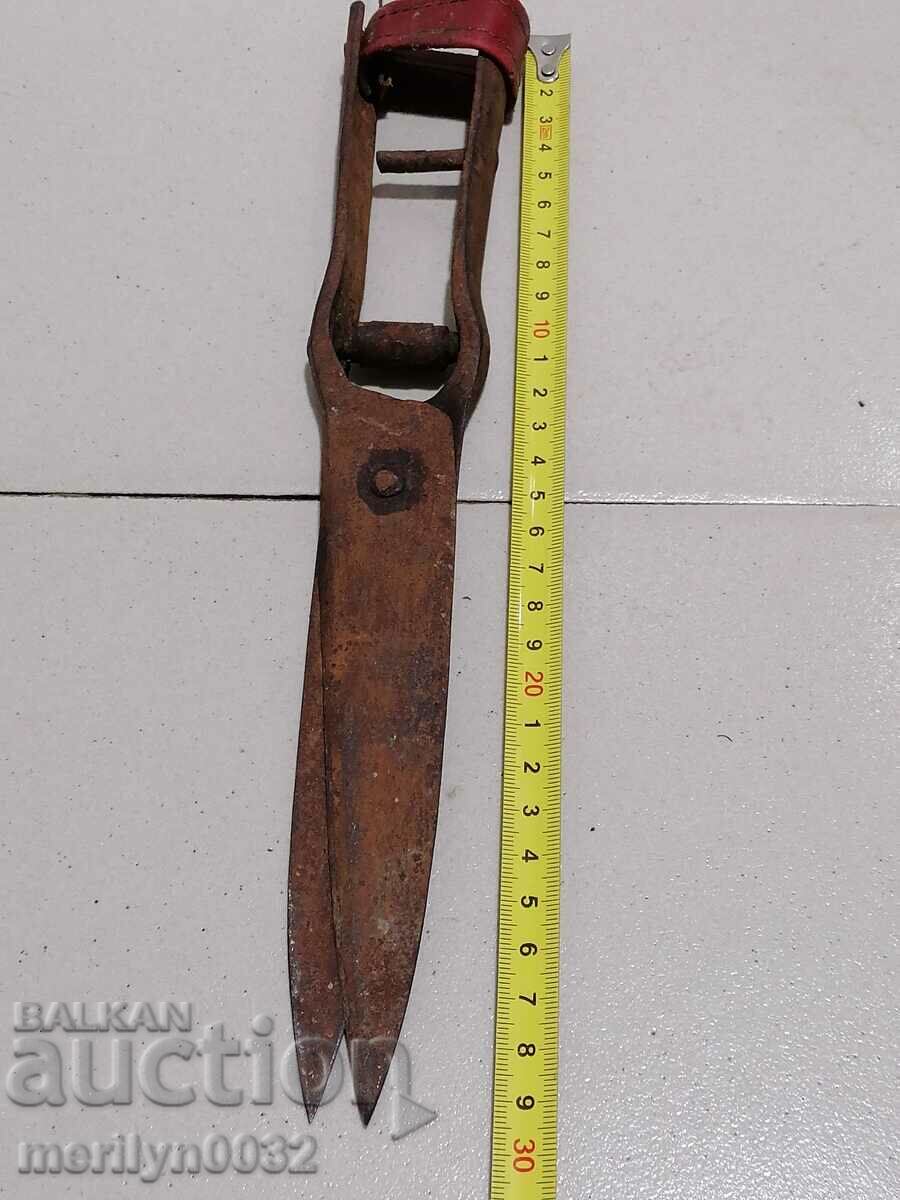 Old wrought iron scissors, knife, wrought iron scissors - 6 Old wrought iron scissors, knife, wrought iron scissors - 6