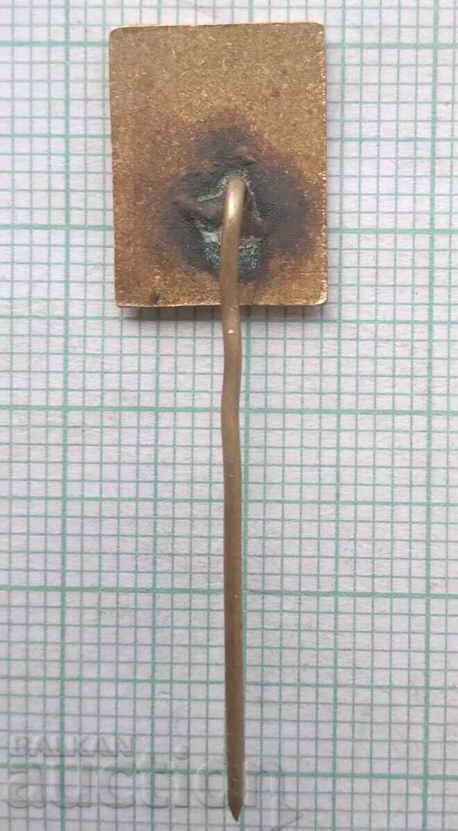 11489 Badge - Elprom - bronze enamel with price 2.00 BGN | € 1.02 11489 Badge - Elprom - bronze enamel with price 2.00 BGN | € 1.02