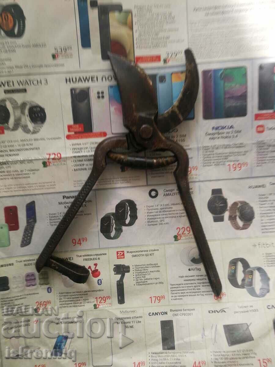 Auction Vine Scissors Auction Vine Scissors