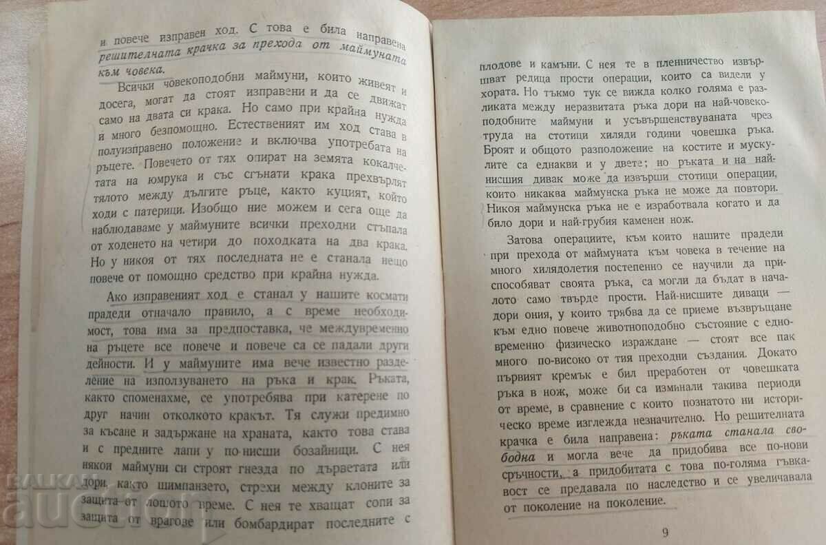 Δημοπρασία Ο ρόλος της εργασίας στην μετατροπή πιθήκους MAN