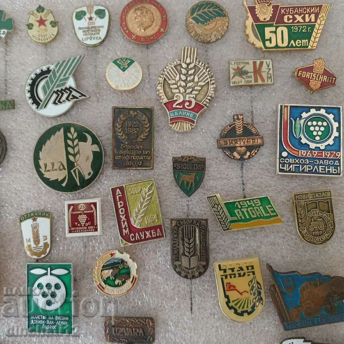 Аукцион Колекция значки. АПК. ТКЗС. СЕЛСКОСТОПАНСКИ Аукцион Колекция значки. АПК. ТКЗС. СЕЛСКОСТОПАНСКИ