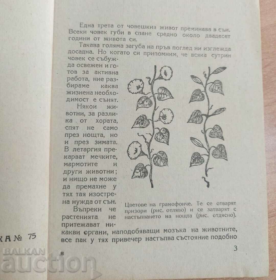 SLEEP AND DREAMING with price 15.00 BGN | € 7.67