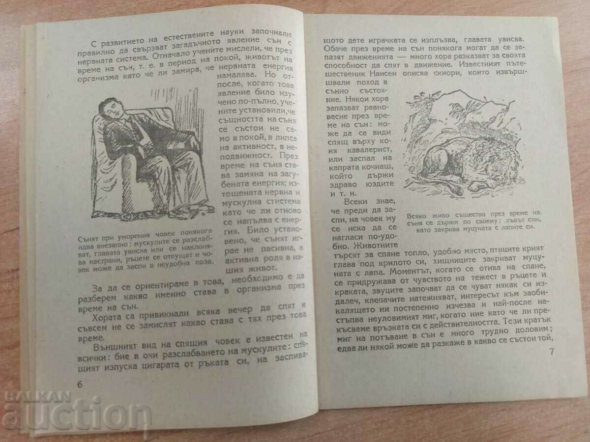 Auction  SLEEP AND DREAMING