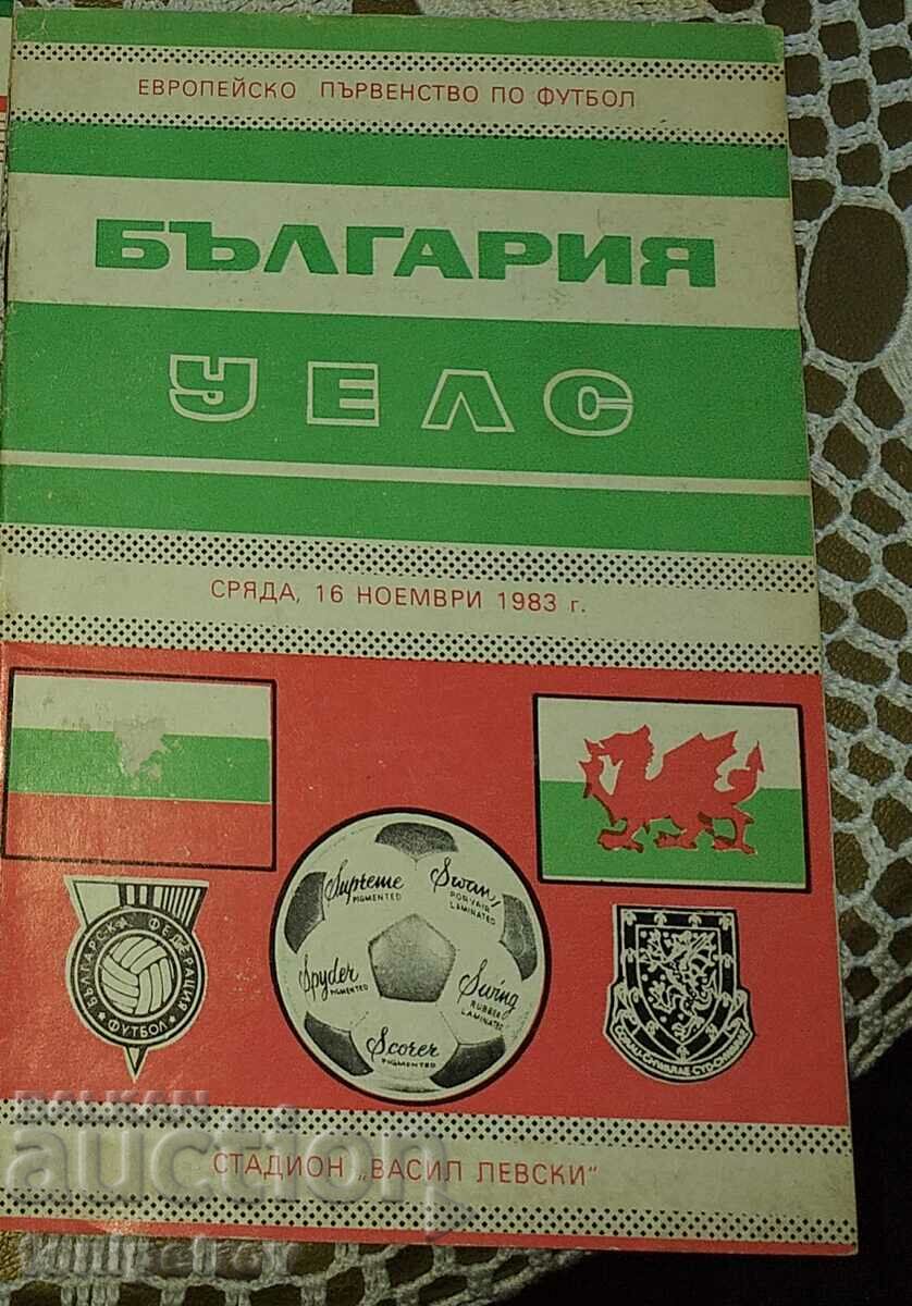 Football program Bulgaria - Wales