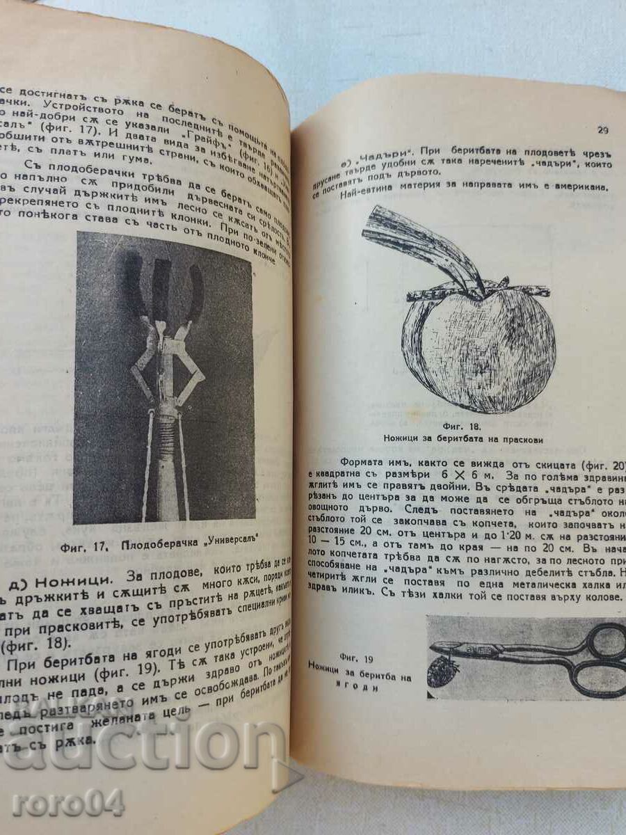 RECOLTAREA FRUCTELOR - I. ILIEV - 5