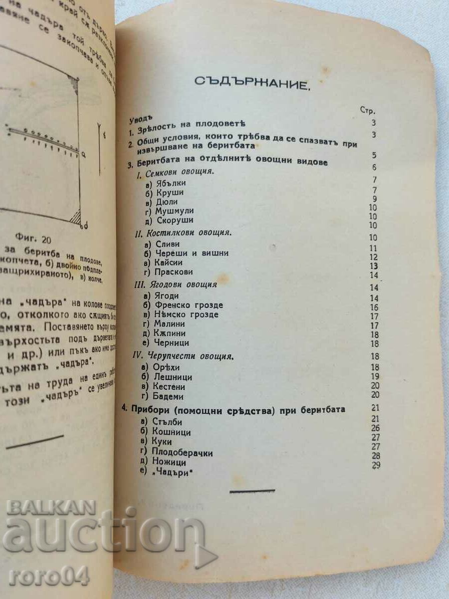 RECOLTAREA FRUCTELOR - I. ILIEV - 6