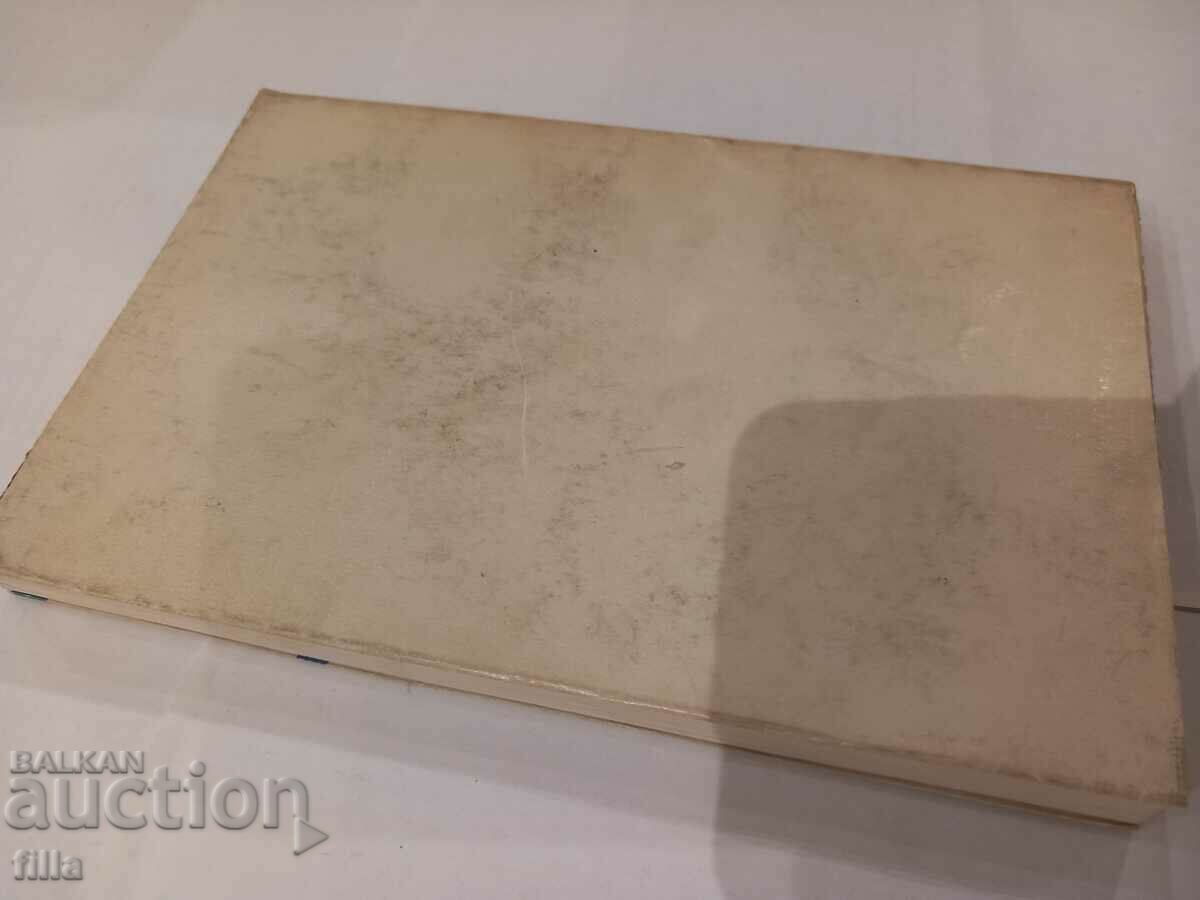 Auction South American version - Sergey Zaligin Auction South American version - Sergey Zaligin