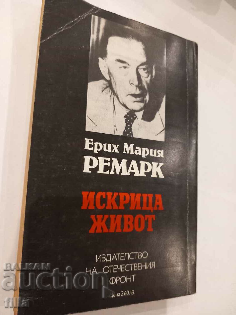 Delivery of Sparkle of Life - Erich Maria Remark Delivery of Sparkle of Life - Erich Maria Remark