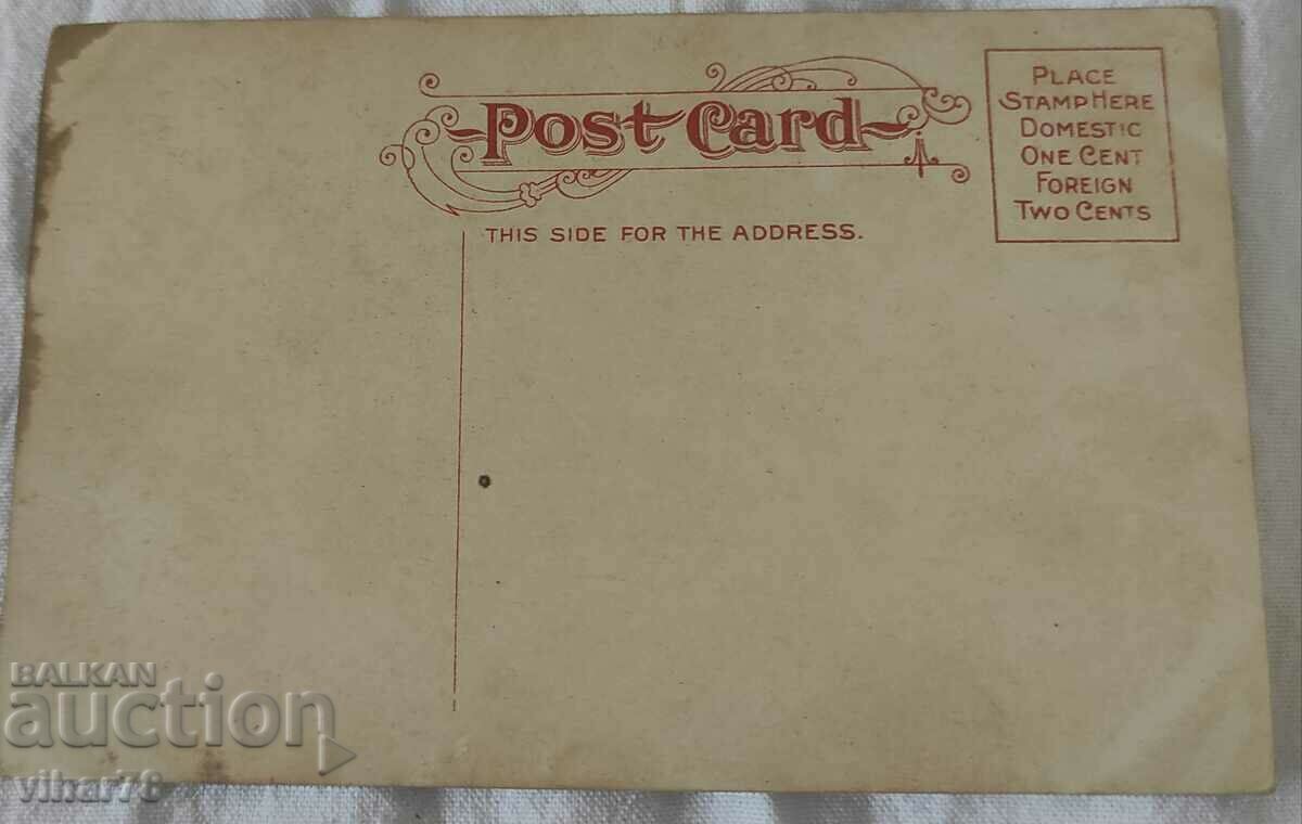 RARE CARD - 5 RARE CARD - 5