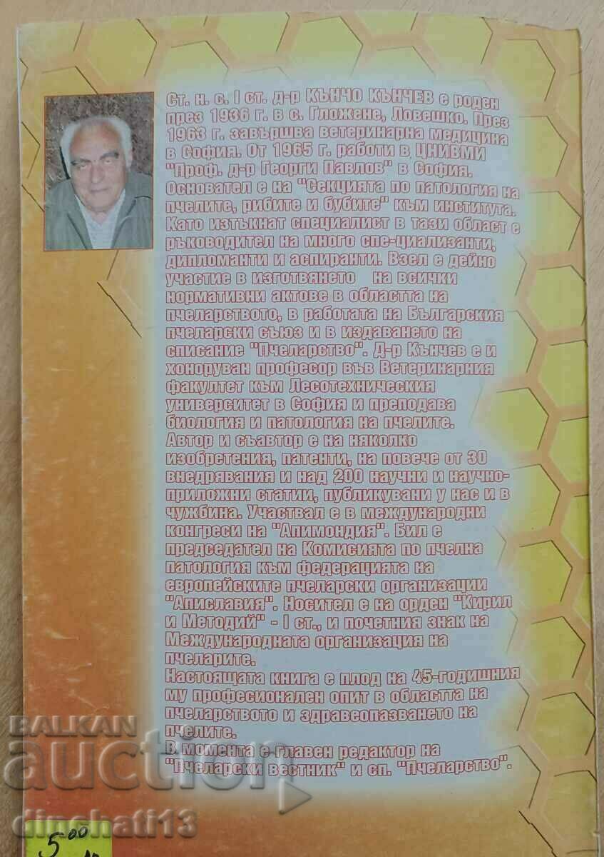 Touching the life of bees: Kancho Kanchev - 5 Touching the life of bees: Kancho Kanchev - 5