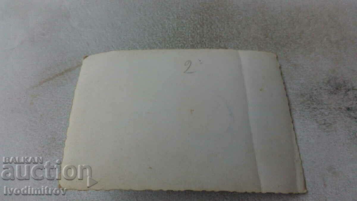 Photo Wolf dog breed with price 2.35 BGN | € 1.20