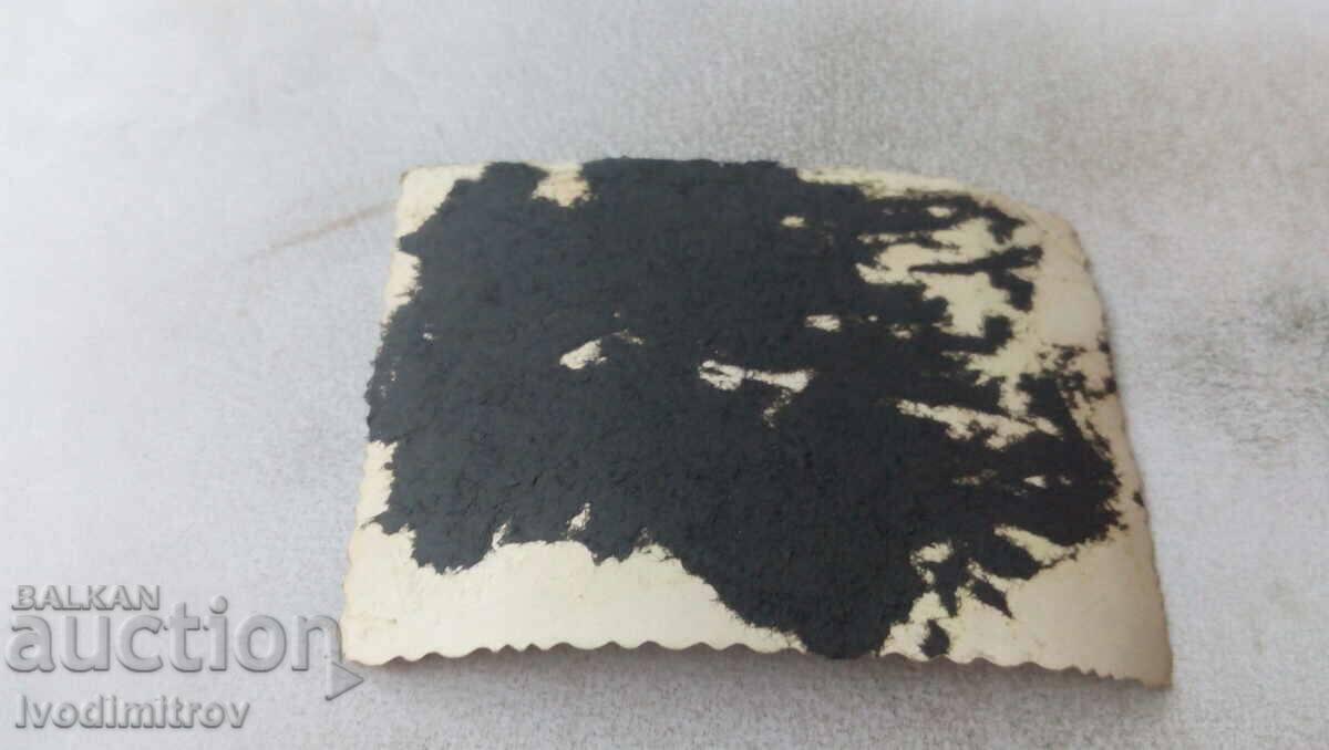 Photo Young man in shorts with price 1.85 BGN | € 0.95 Photo Young man in shorts with price 1.85 BGN | € 0.95