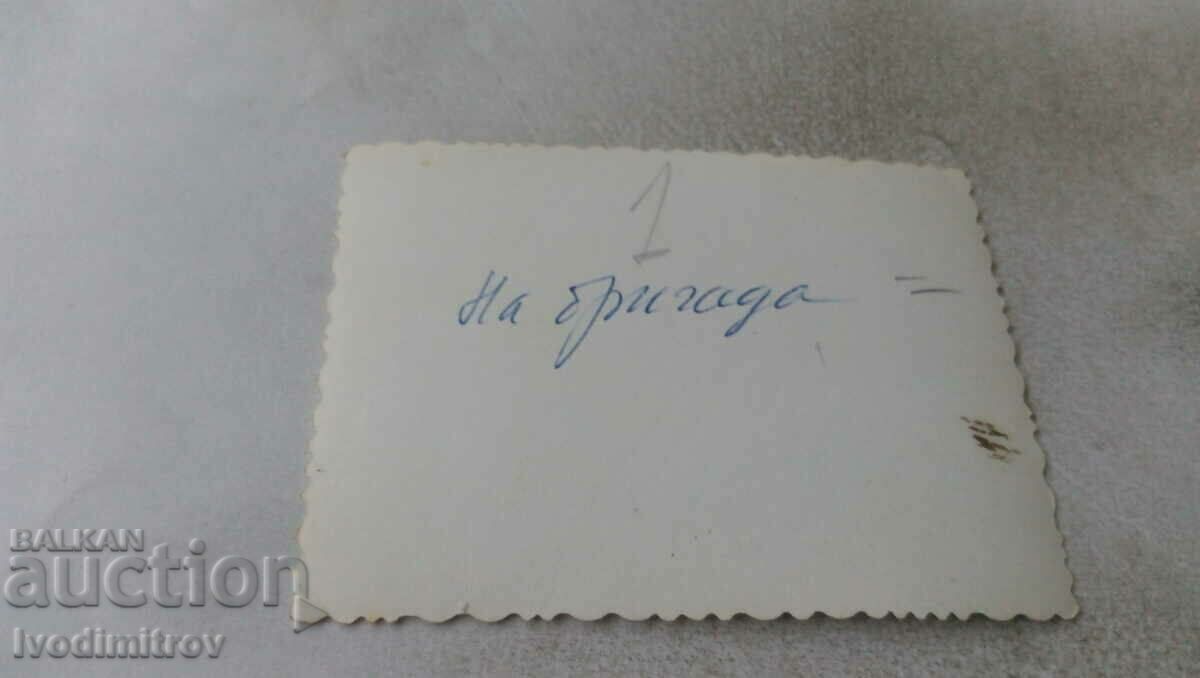 Photo Men and women with shovels of a brigade with price 0.75 BGN | € 0.38 Photo Men and women with shovels of a brigade with price 0.75 BGN | € 0.38