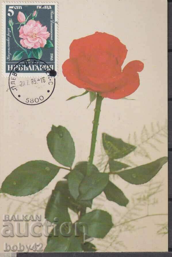 Card maximum roses 9