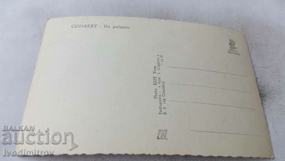 Postcard Conakry Un Palmer with price 0.65 BGN | € 0.33 Postcard Conakry Un Palmer with price 0.65 BGN | € 0.33