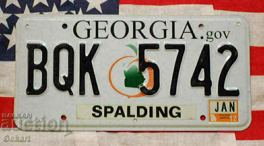 US License Plate GEORGIA