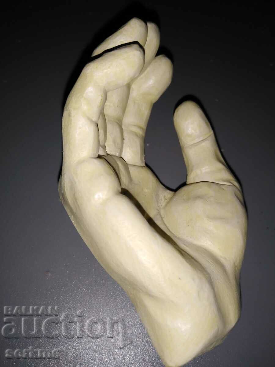 Auction Fig Auction Fig