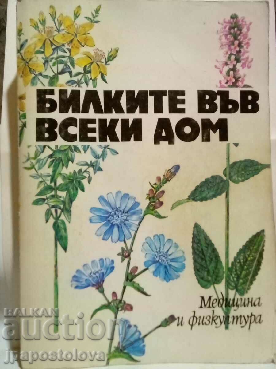 Herbs in every home - Staneva, Panova, Raynova, Asenov