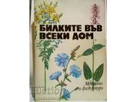 Herbs in every home - Staneva, Panova, Raynova, Asenov