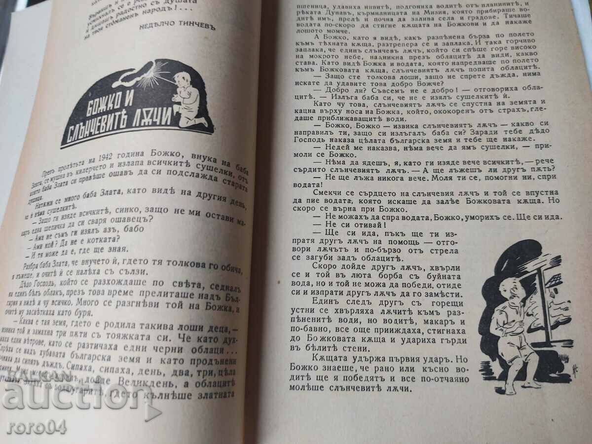 Δημοπρασία ΠΑΙΔΙΚΟΣ ΚΟΣΜΟΣ