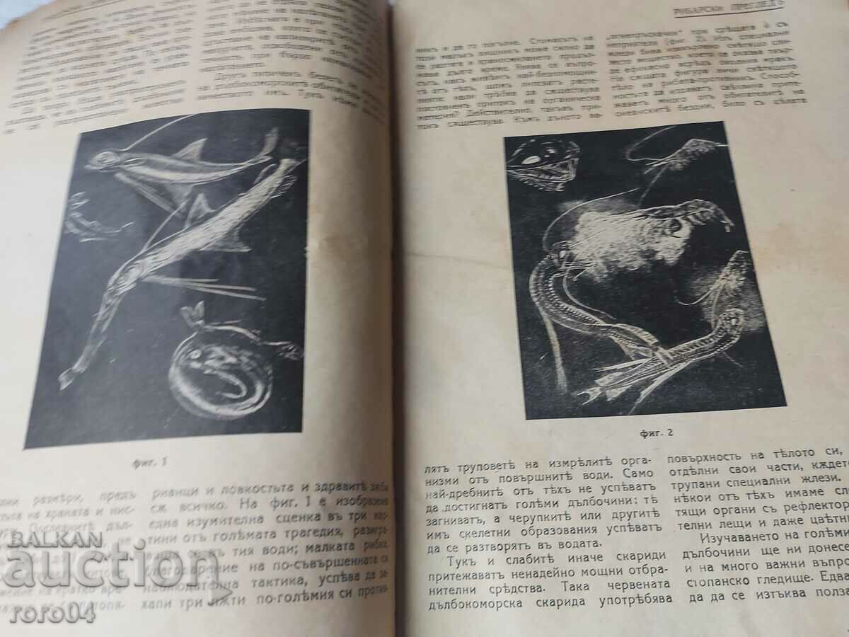 ΕΠΙΣΚΟΠΗΣΗ ΑΛΙΕΙΑΣ - 5 ΕΠΙΣΚΟΠΗΣΗ ΑΛΙΕΙΑΣ - 5