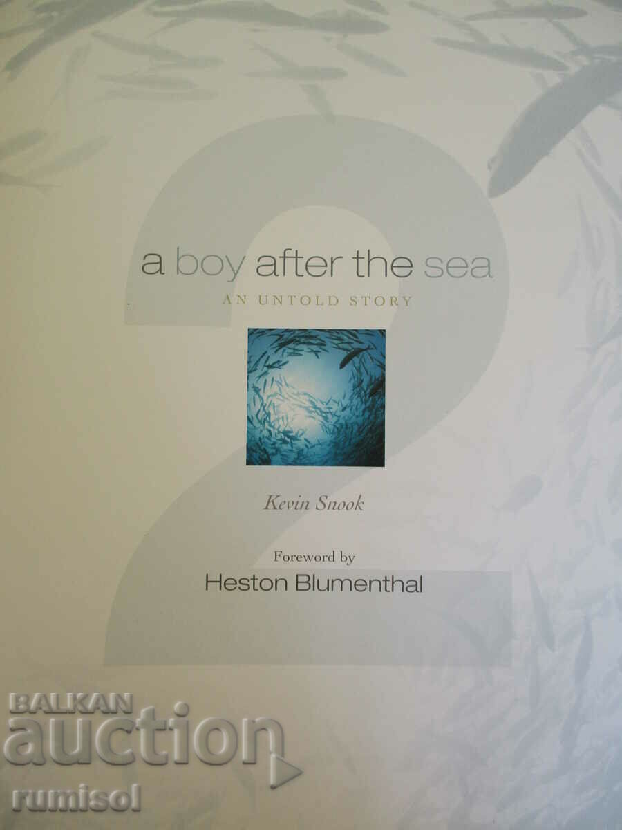 Auction  A Boy After the Sea - book 2: An Untold Story - Kevin Snook