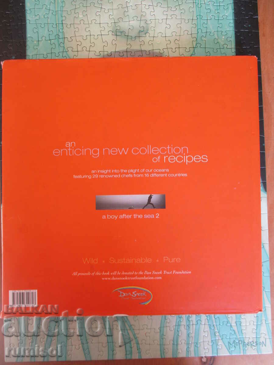 Delivery of A Boy After the Sea - book 2: An Untold Story - Kevin Snook