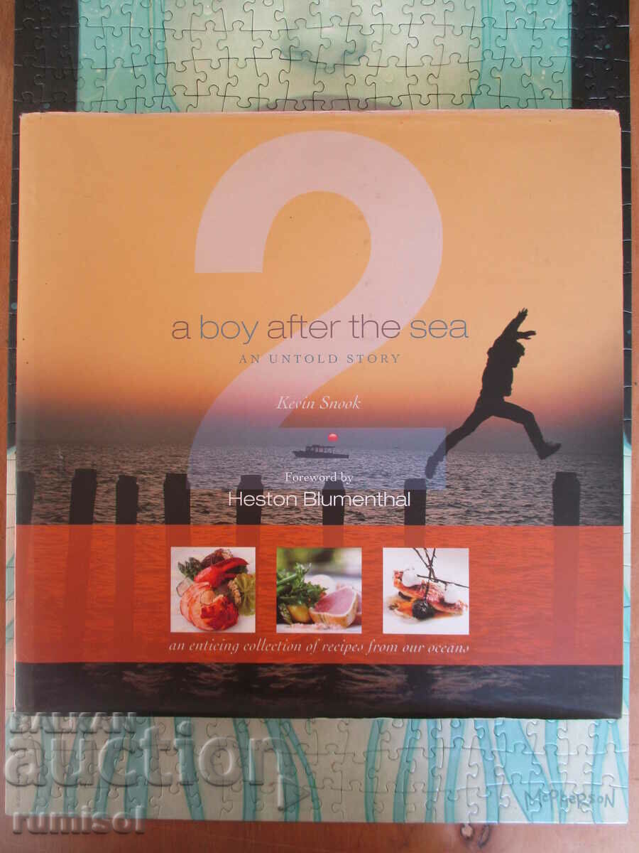 A Boy After the Sea - book 2: An Untold Story - Kevin Snook