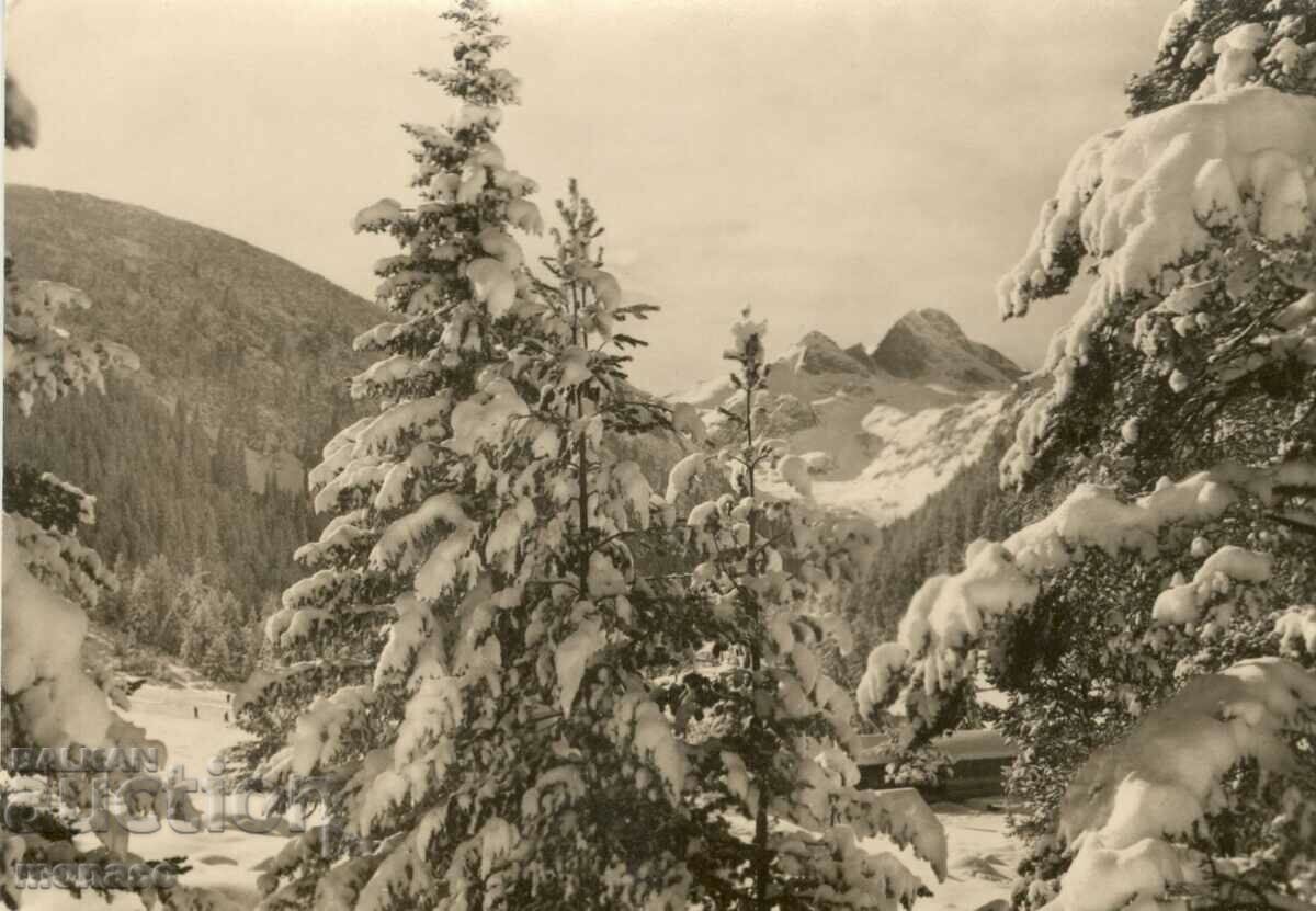 Carte poștală veche - Rila, Peisaj de iarnă A - 11