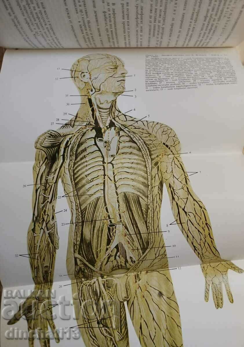 Chirurgie purulent-septică: Stoyan Popkirov cu preț 77.00 BGN | € 39.37 Chirurgie purulent-septică: Stoyan Popkirov cu preț 77.00 BGN | € 39.37