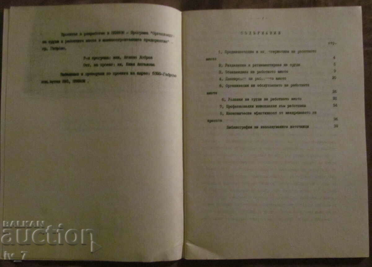 Auction TYPE PROJECT OF WORKPLACE ORGANIZATION Auction TYPE PROJECT OF WORKPLACE ORGANIZATION