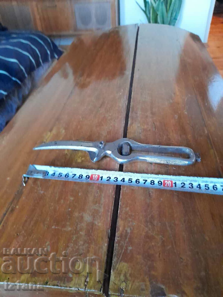 Stara Lozarska, ovoshtarska Nozhitsa, Nozhitsi - 5 Stara Lozarska, ovoshtarska Nozhitsa, Nozhitsi - 5