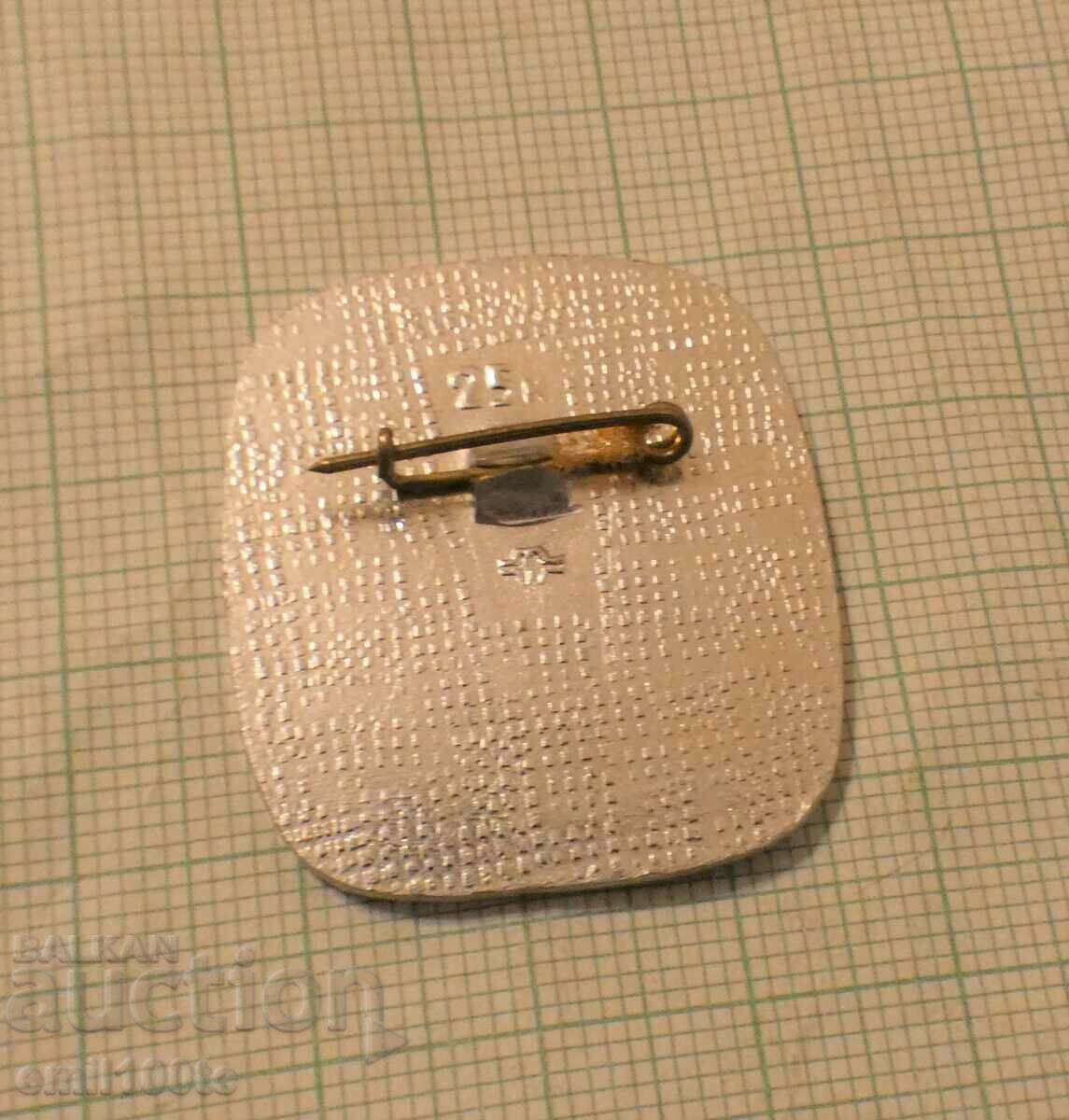 Delivery of Badge - 60 years of VLKSM Delivery of Badge - 60 years of VLKSM