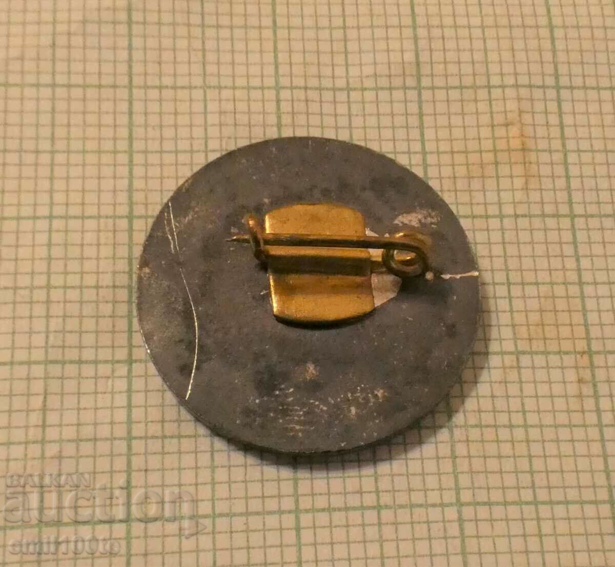 Delivery of Badge - Republican Pioneer Assembly Mihailovgrad 1973. Delivery of Badge - Republican Pioneer Assembly Mihailovgrad 1973.