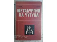 Iron metallurgy: I. Valchev, M. Tabakova, K. Sankeva,