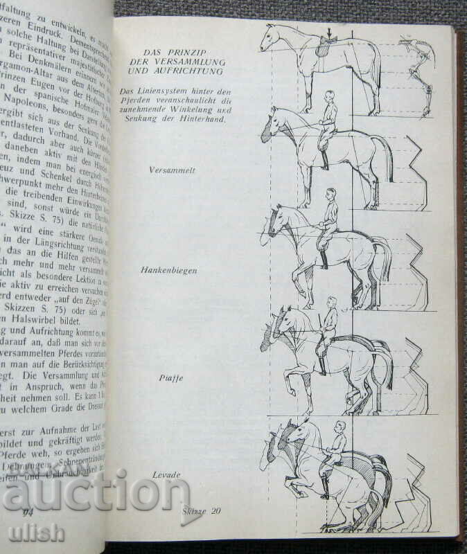 Auction Reitlehre - Wilhelm Museler - Riding Training 1933 Auction Reitlehre - Wilhelm Museler - Riding Training 1933