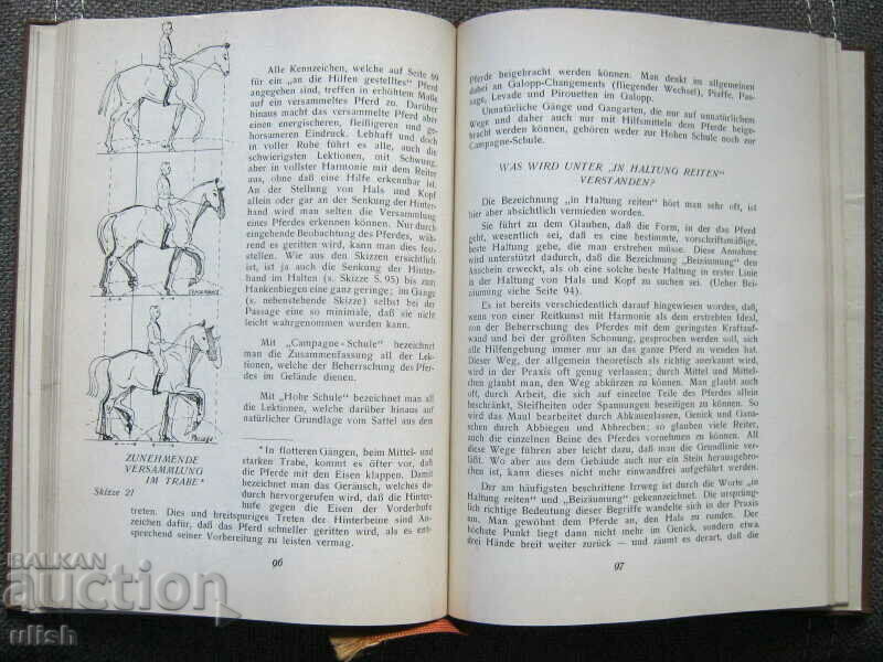 Reitlehre - Wilhelm Museler - Riding Training 1933 - 5 Reitlehre - Wilhelm Museler - Riding Training 1933 - 5