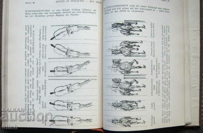 Reitlehre - Wilhelm Museler - Riding Training 1933 - 6 Reitlehre - Wilhelm Museler - Riding Training 1933 - 6