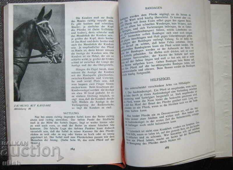 Reitlehre - Wilhelm Museler - Riding Training 1933 - 7 Reitlehre - Wilhelm Museler - Riding Training 1933 - 7