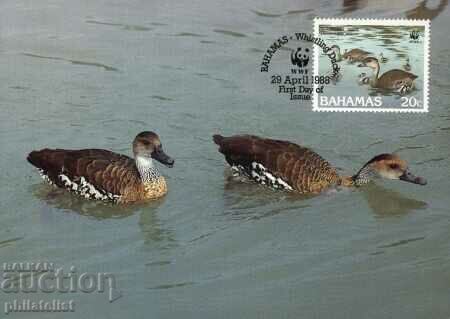 Bahamas 1988 - 4 cards Maximum - WWF with price 4.00 BGN | € 2.05 Bahamas 1988 - 4 cards Maximum - WWF with price 4.00 BGN | € 2.05