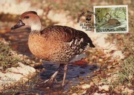 Auction Bahamas 1988 - 4 cards Maximum - WWF Auction Bahamas 1988 - 4 cards Maximum - WWF