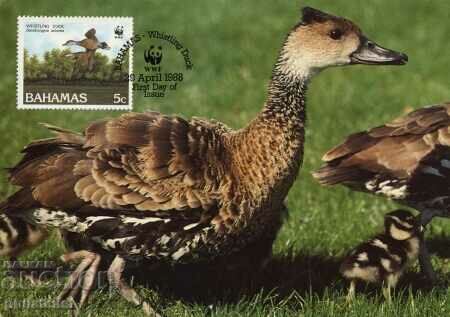 Delivery of Bahamas 1988 - 4 cards Maximum - WWF Delivery of Bahamas 1988 - 4 cards Maximum - WWF