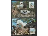 Christmas Island 1990 - 4 cards Maximum - WWF