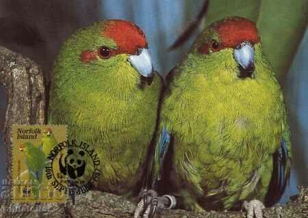 Auction Norfolk 1987 - 4 cards Maximum - WWF Auction Norfolk 1987 - 4 cards Maximum - WWF