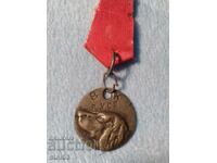 TOKEN .- MEDAL- DOG