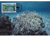 Tuvalu 1992 - 4 κάρτες Maximum - WWF