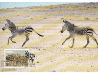 Namibia 1991 - Maxim 4 cărți - WWF