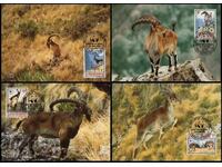 Etiopia 1990 - Maxim 4 cărți - WWF