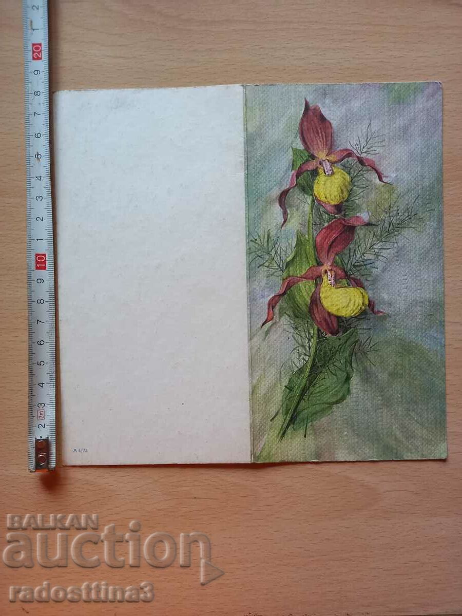 Auction Card Flowers Postcard Flowers Auction Card Flowers Postcard Flowers