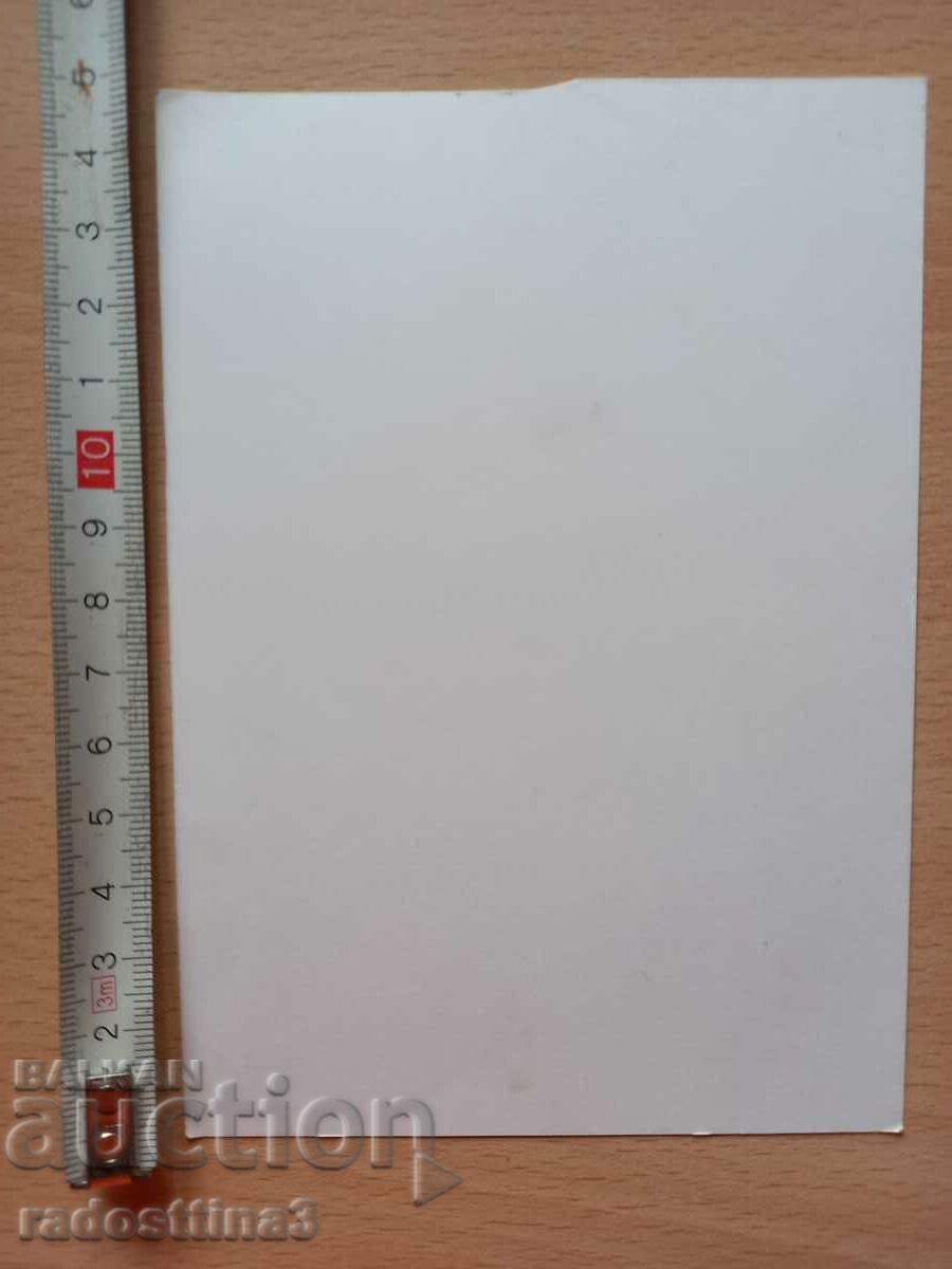 Card Flowers Postcard Flowers with price 0.99 BGN | € 0.51 Card Flowers Postcard Flowers with price 0.99 BGN | € 0.51